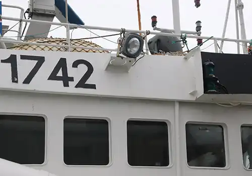 How energy-efficient are top-rated marine floodlights?